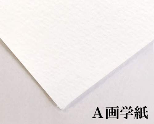 サンフラワーA画学紙