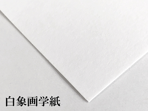 白象画学紙