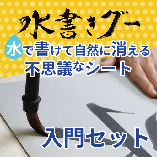水書きグー 入門セット