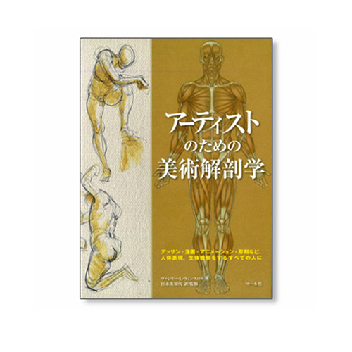 マール社 アーティストのための美術解剖学