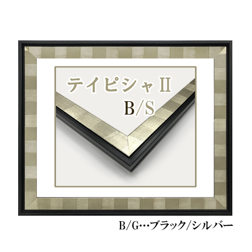 テイピシャⅡ B/S(ブラック/シルバー)