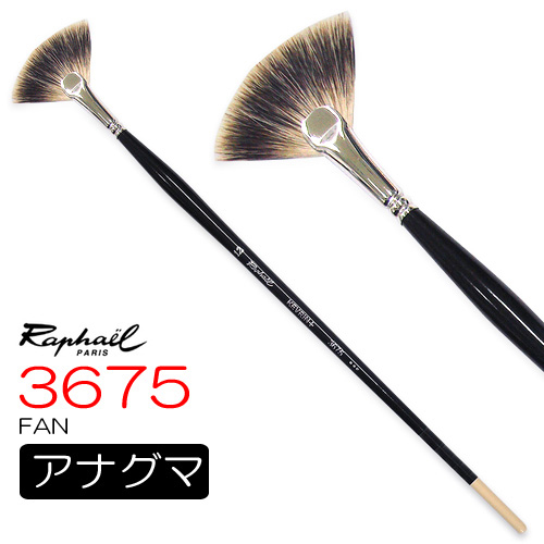 ラファエル 油彩筆 3675（ファン）